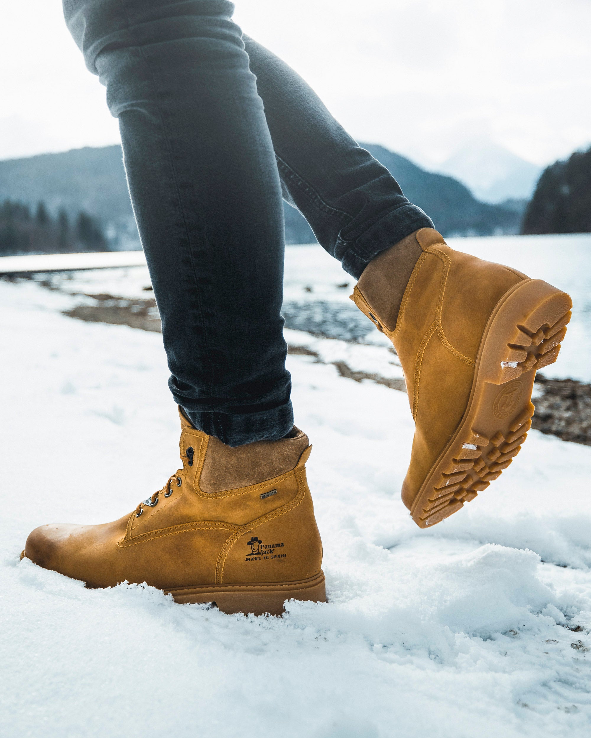 Ankle Boot Amur Gtx C4 for Men Panama Jack ® Official