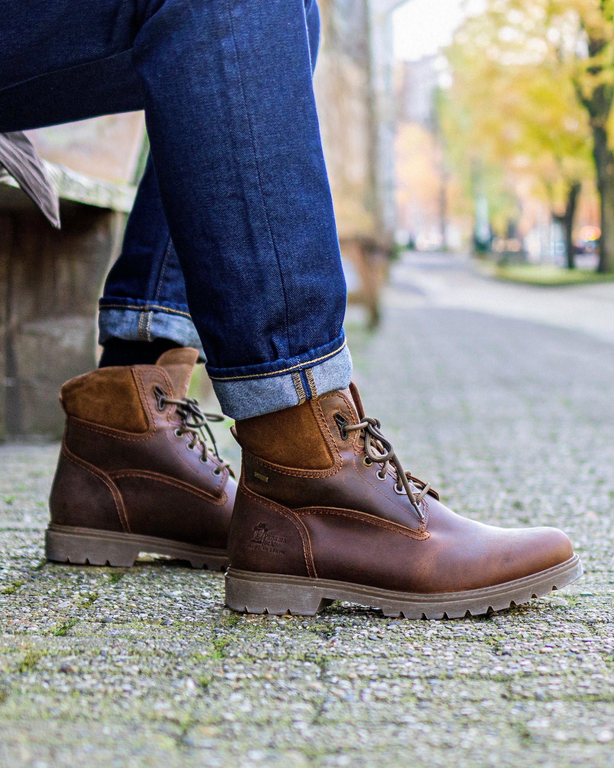 Ankle Boot Amur Gtx C8 for Men - Panama Jack ® Official